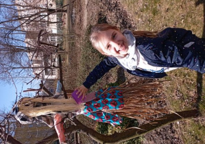 Dziewczynka polewa umieszczoną na drzewku Marzannę wodą z kubeczka